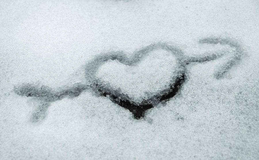 I Love the Winter Snow Photograph by Photographic Arts And Design Studio
