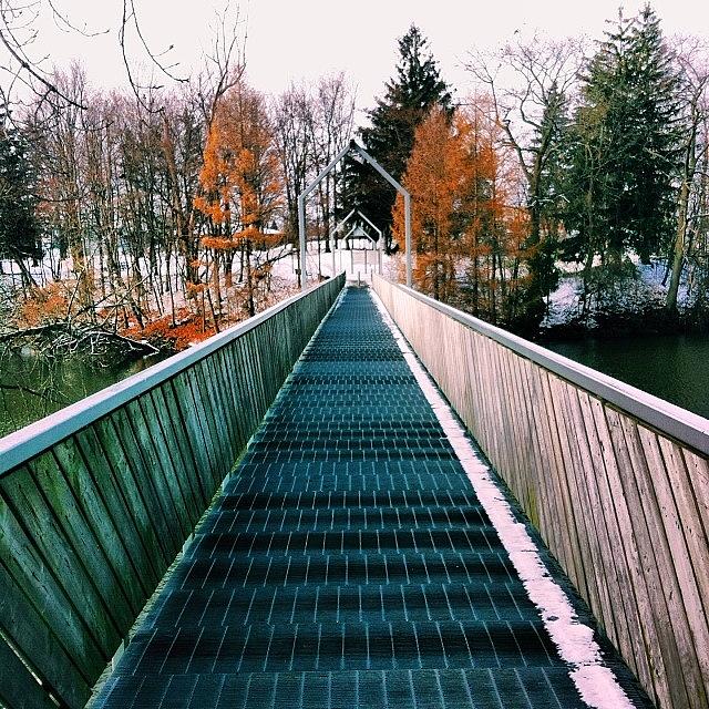 Winter Photograph - I Love This Bridge For Some Reason by Juan Ardila
