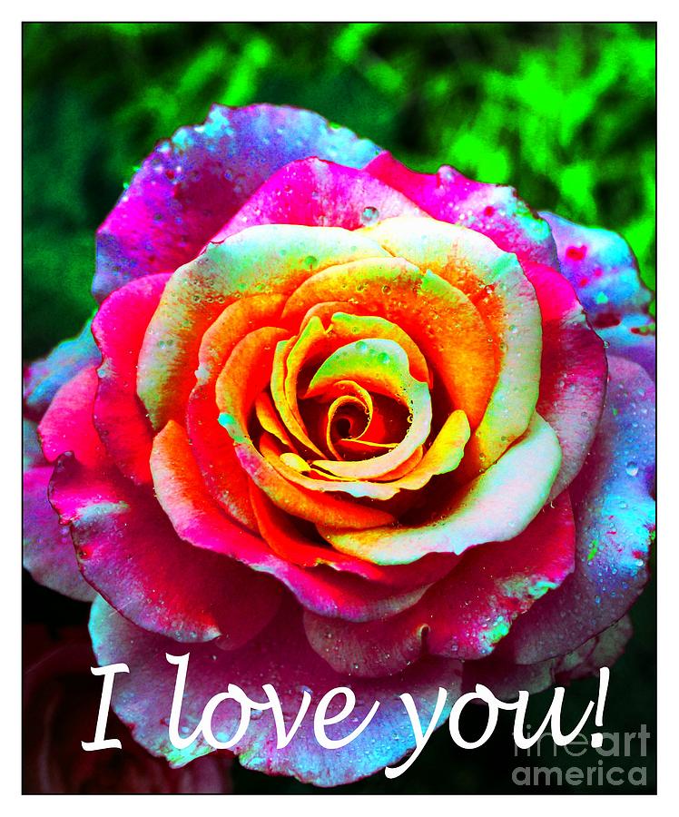 I Love You - Pink Rose - Greetings 2 Photograph by Barbara A Griffin