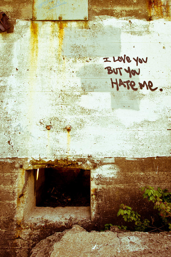 I Love You But You Hate Me Photograph by Priya Ghose