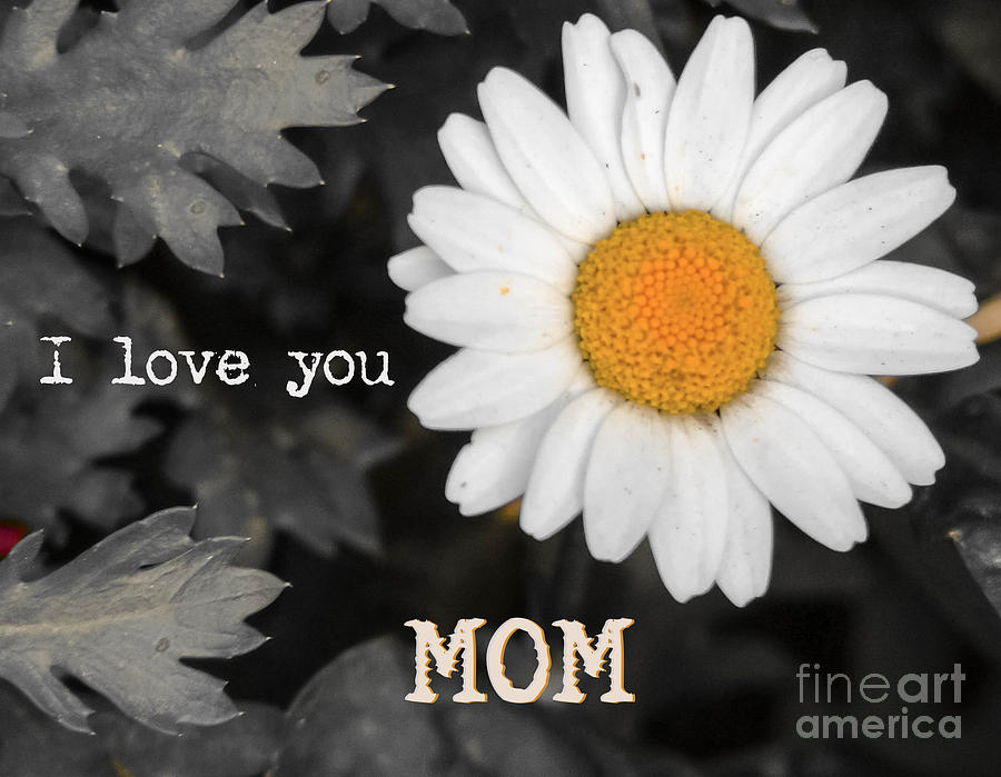 I love you Mom Photograph by Andrea Anderegg