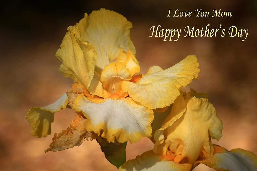 I Love You Mom Photograph by Donna Kennedy