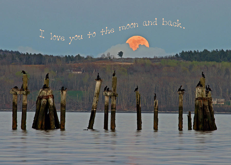 I Love You to the Moon and Back Photograph by Barbara West