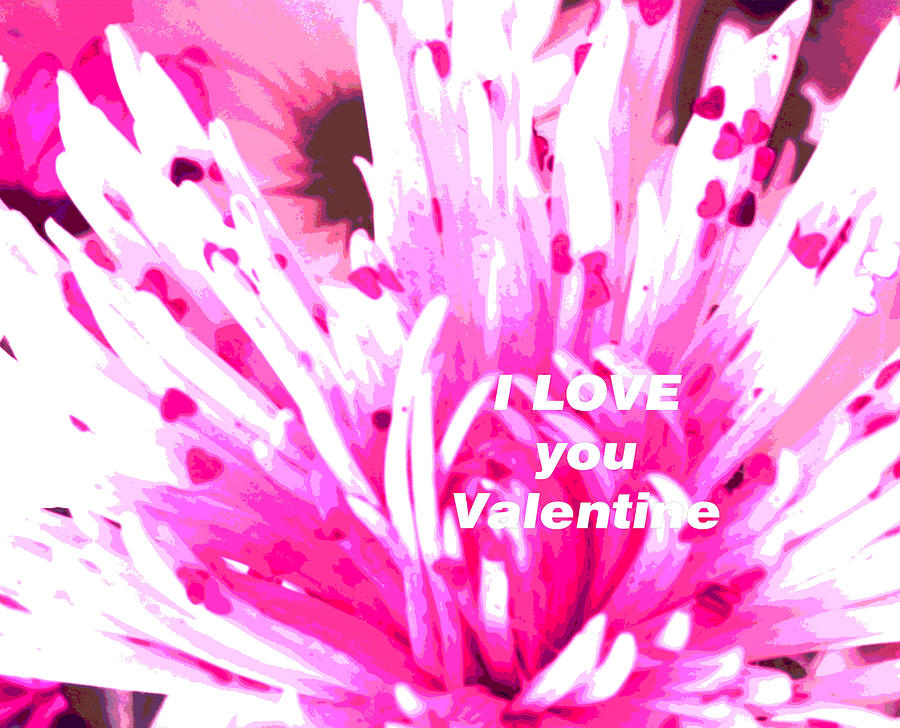I Love You Valentine Photograph by Belinda Lee
