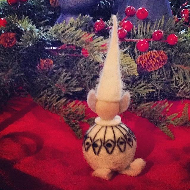 I Loved This Little Icelandic Tomte At Photograph by Zeke Rice