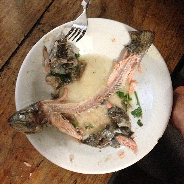 Trout Photograph - I Made Whole #trout For Dinner.  I by Nadia S