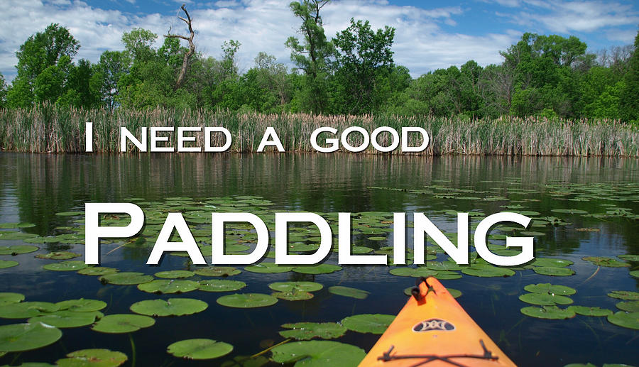 I Need a Good Paddling Photograph by James Peterson