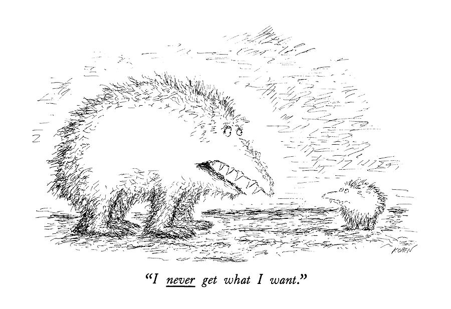I Never Get What I Want Drawing by Edward Koren