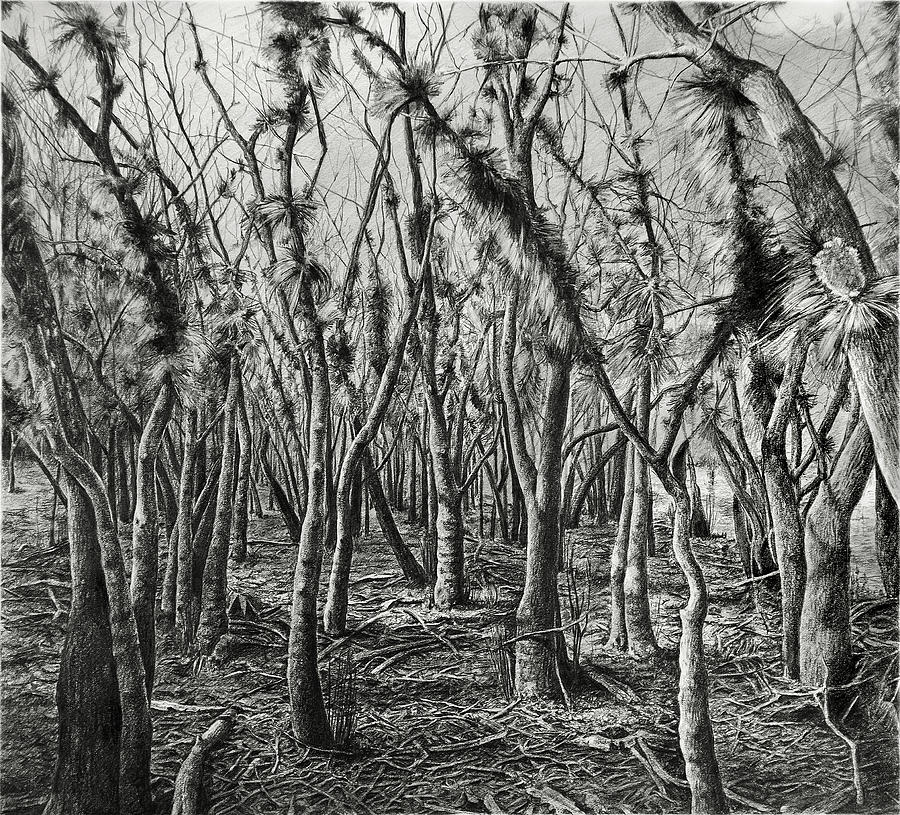 If Not for These Trees I Could See the Forest Drawing by William Underwood