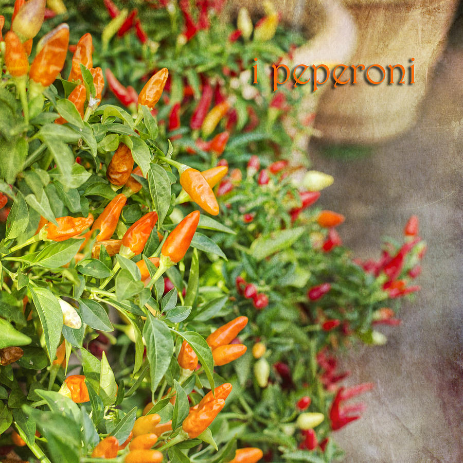 I Peperoni Photograph by Marianne Campolongo