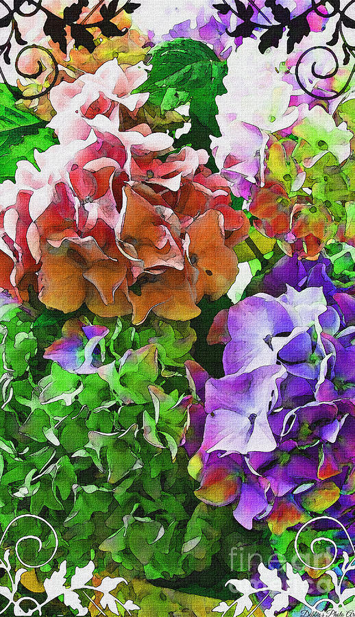 I Phone Case / Wall Art - Multi Colored Hydrangeas IV Photograph by Debbie Portwood