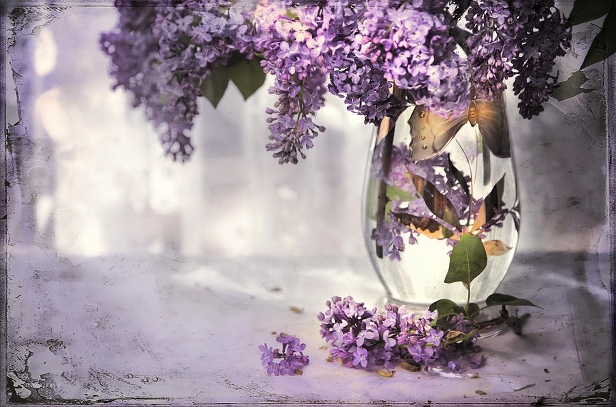 Still Life Photograph - I Picked A Bouquet Of Lilacs Today by Theresa Tahara