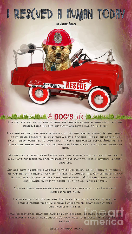 Dog Rescue Digital Art - I Rescued A Human Today by Kathy Tarochione