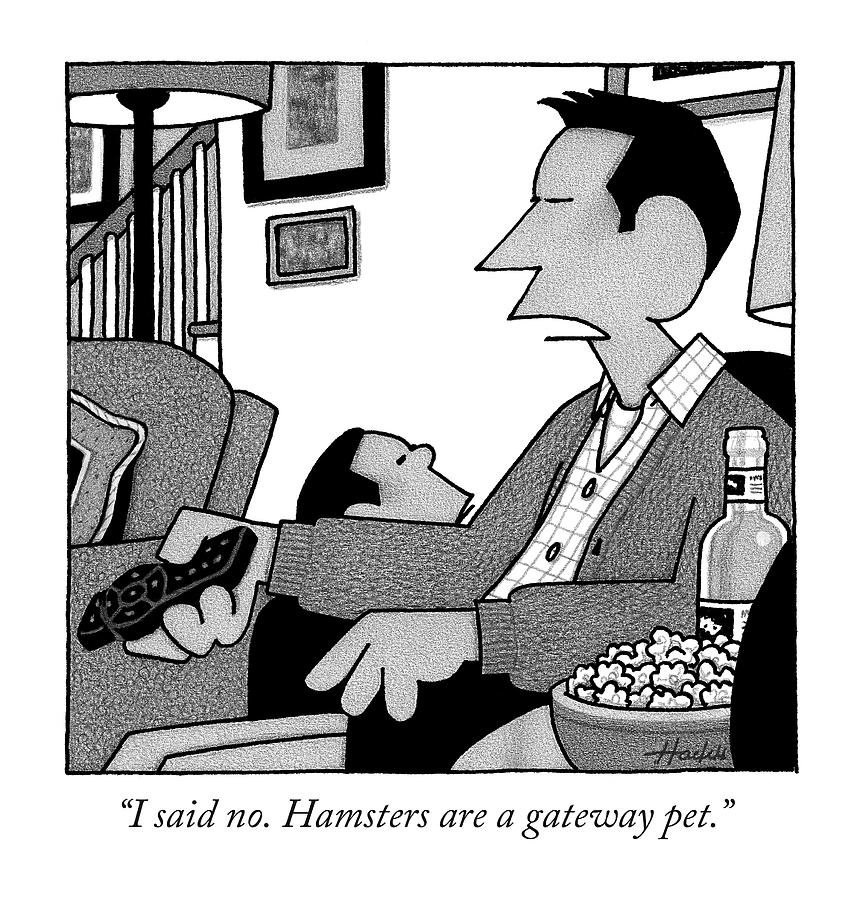 I Said No. Hamsters Are A Gateway Pet Drawing by William Haefeli