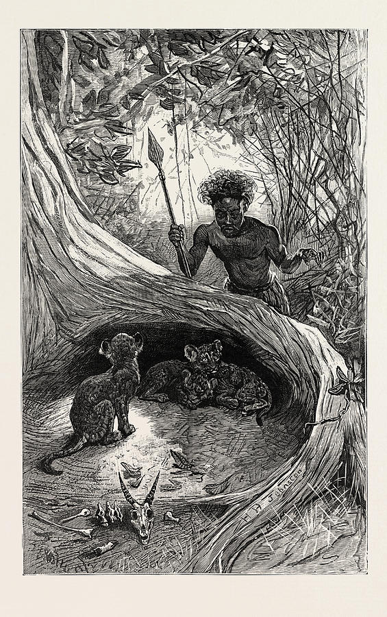 Vintage Drawing - I Saw In The Hollow Between The Roots Of A Big Tree Three by English School