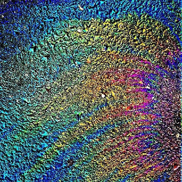 Rainbow Photograph - I Saw This Oil In A Parking Lot Today by Dalan Swenson