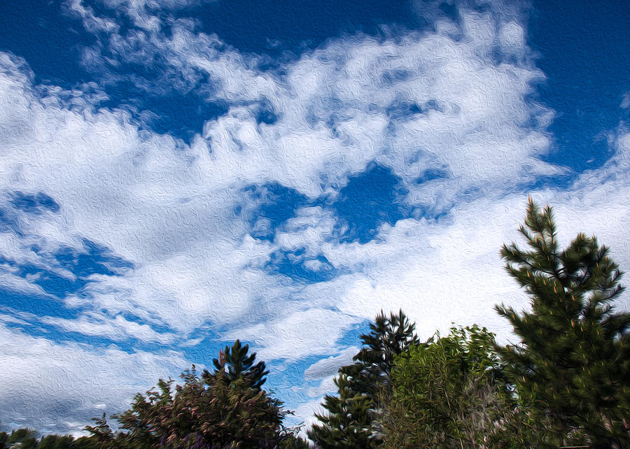 I See A White Cloud Looking at Me Photograph by Omaste Witkowski