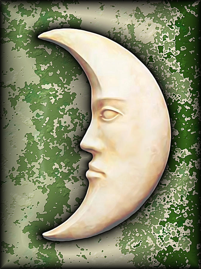 I See The Moon 3 Digital Art by Wendy J St Christopher
