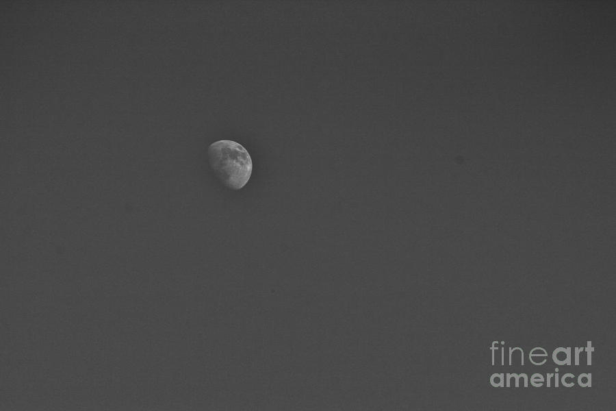 I See The Moon Photograph by Barbara Bardzik
