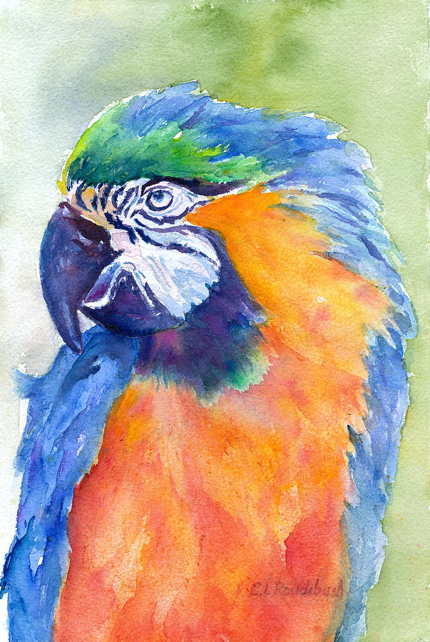 Parrot Painting - I See You by Cynthia Roudebush