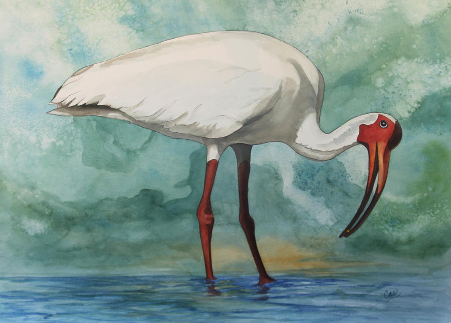 Ibis Painting - I see you... by Karen Casciani