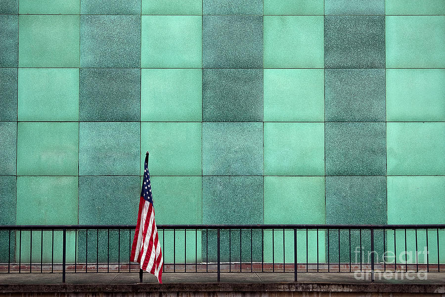 Flag Photograph - I Stand Alone by T Lowry Wilson