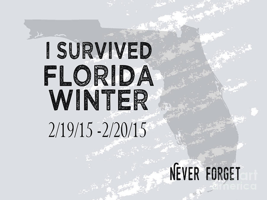 I Survived Florida Winter 2015 Digital Art