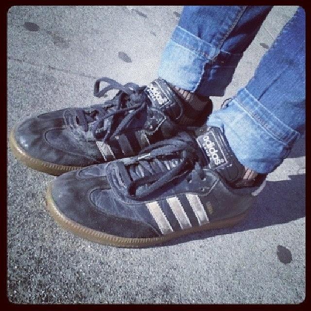 I Think My Sambas Have Seen Better Days Photograph by Melissa Eve
