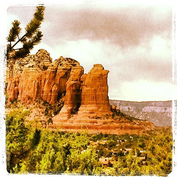 I Took A Lot Of Pics In Sedona Photograph by Paula Manning-Lewis