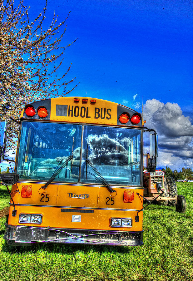 I used to be a school bus Photograph by Eti Reid
