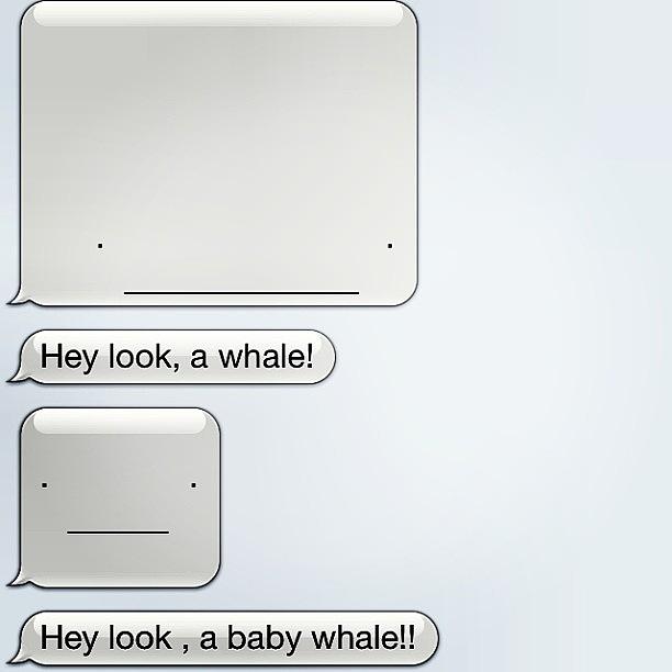 Whale Photograph - I Wake Up To These Texts From My by Michaelene Hoge