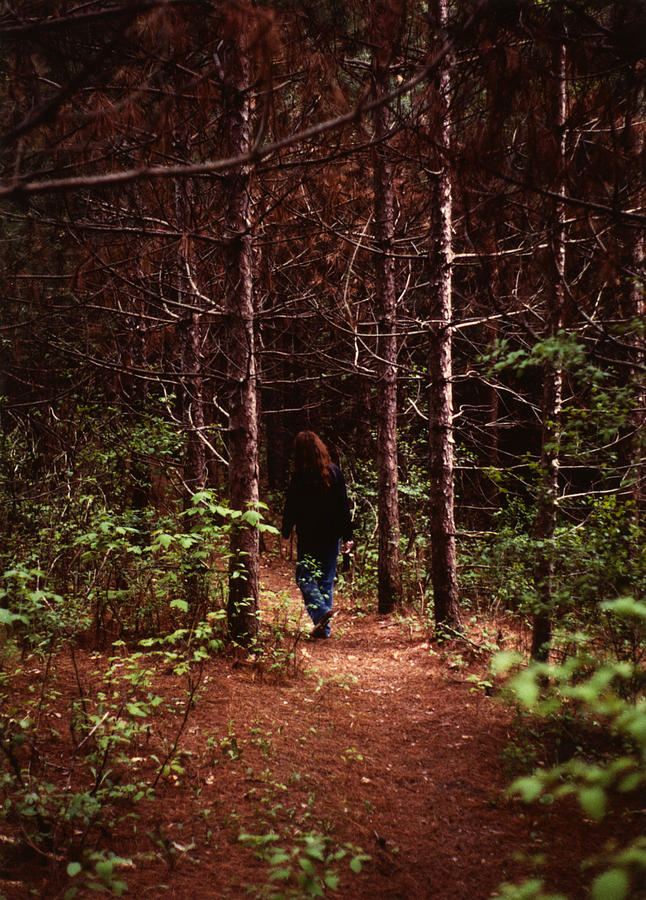 I walk Alone Photograph by Marilyn Hunt