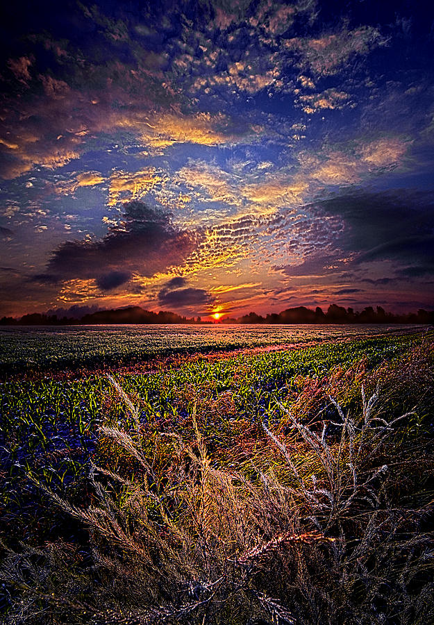 I want to Dance to the Static on an AM Radio Photograph by Phil Koch