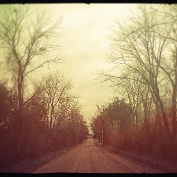 Nature Photograph - i Was Born At The End Of A Dirt Road by Katie Dyck