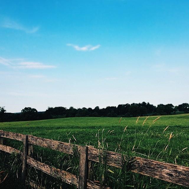 Vsco Photograph - I Went On A Morning Run Through Horse by Olivia Witherite