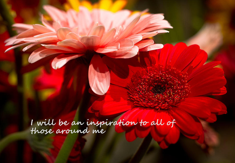 I Will Be An Inspiration Photograph by Patrice Zinck