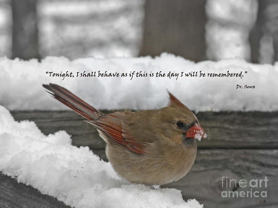 I Will Be Remembered Photograph by Sandra Clark
