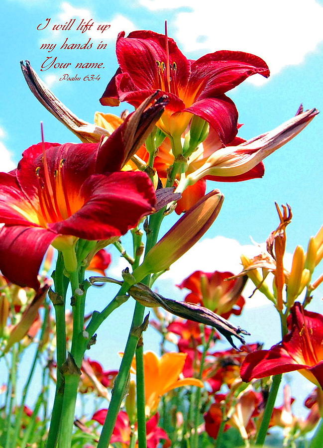 Flower Photograph - I Will Lift My Hands by Kim Blaylock