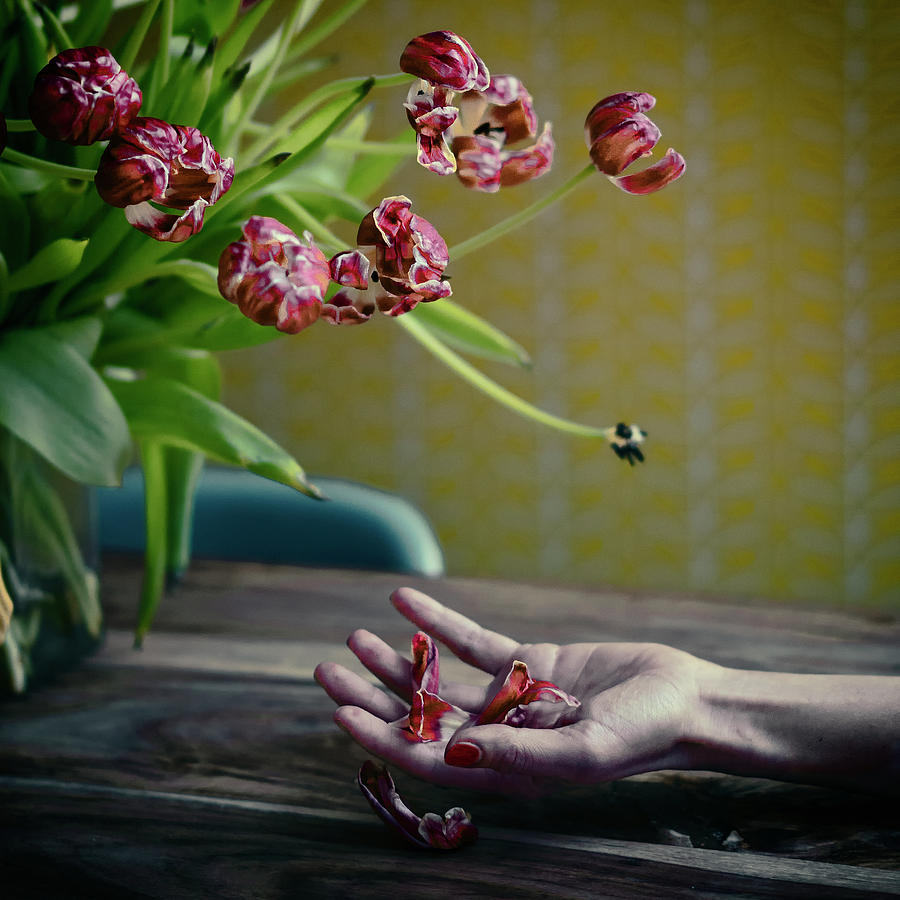 Still Life Photograph - I Will Love You Better.... by Ambra