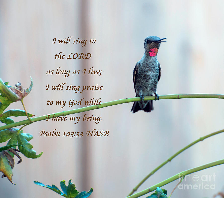 I Will Sing To The Lord Photograph