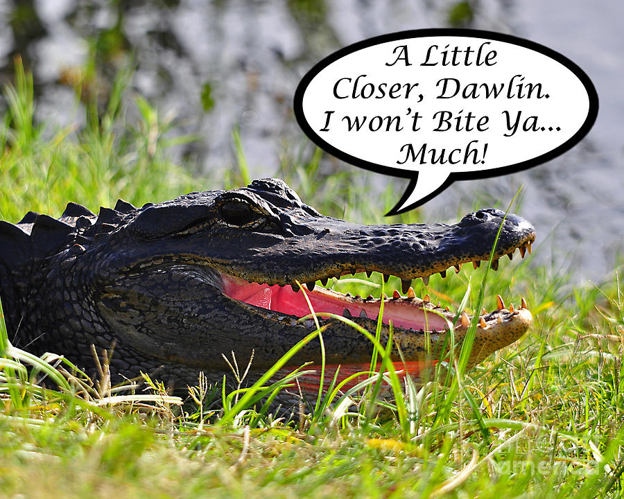 Alligator Photograph - I Wont Bite Greeting Card by Al Powell Photography USA