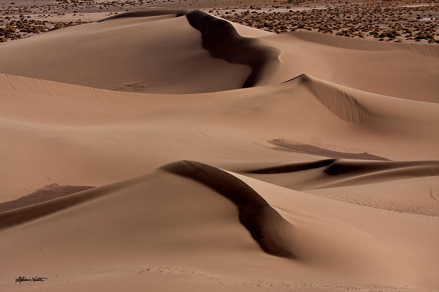 Ibex Dunes, Death Valley Photograph by Stephanie Salter