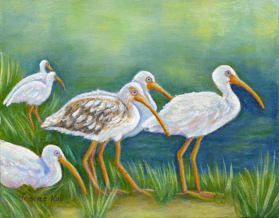 Ibis Flock with Juvenile Painting by Jeanne Juhos
