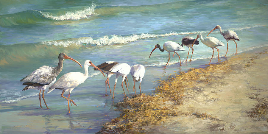 Ibis On Marco Island Painting