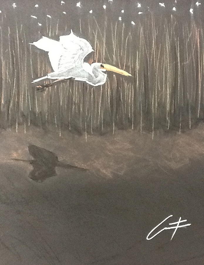 Ibis Drawing - Ibis over the Marsh by Cristel Mol-Dellepoort