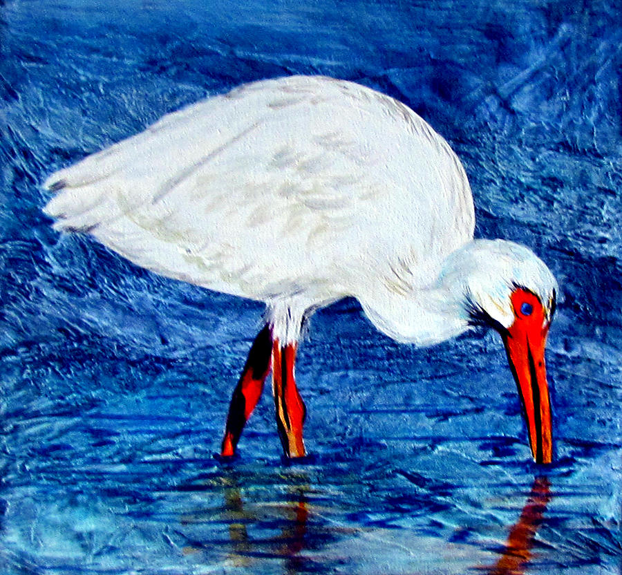 Ibis Painting by Susan Duxter - Fine Art America