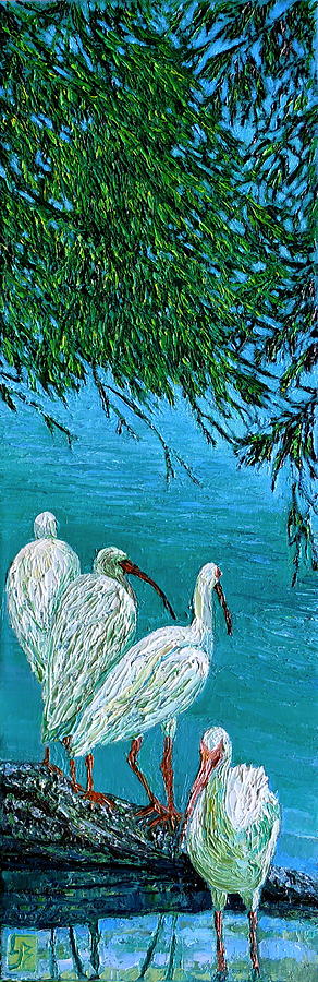 Ibis Under Cypress by Linda J Bean Ibis Under Cypress by Linda J Bean
