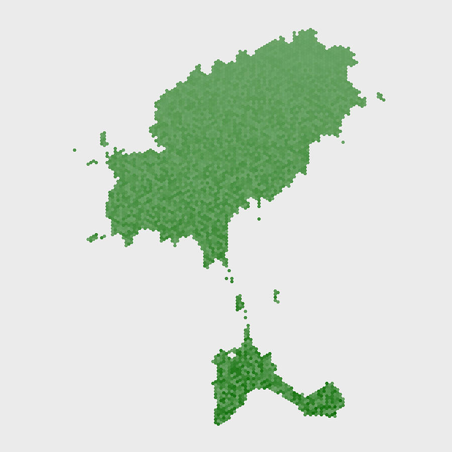 Ibiza Country Map Green Hexagon Pattern Drawing by FrankRamspott