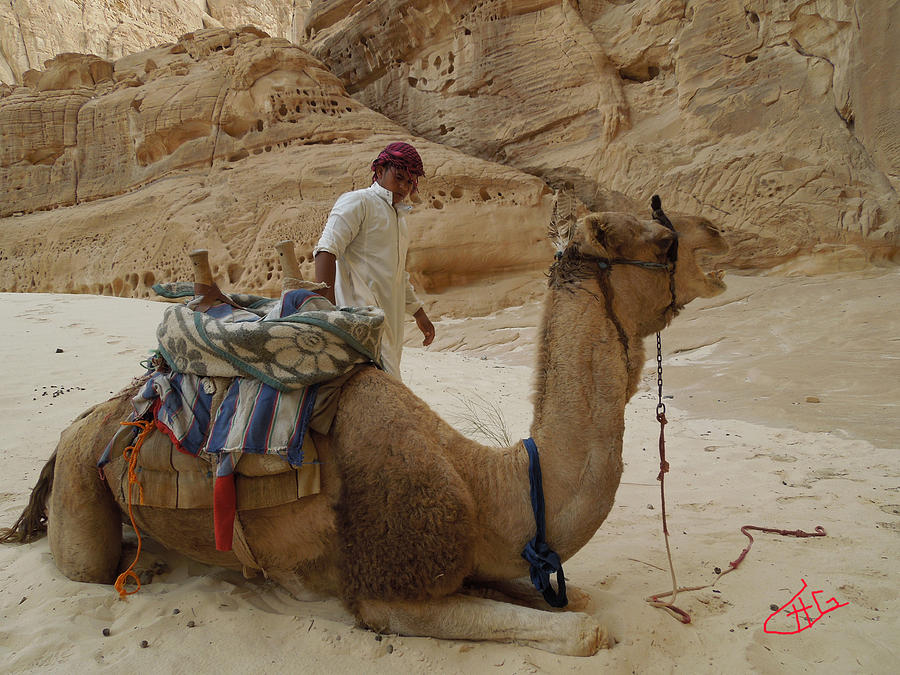 Ibrahim Beduin  owner with friend Camel Bou Bou Desert Sinai Egypt Photograph by Colette V Hera Guggenheim