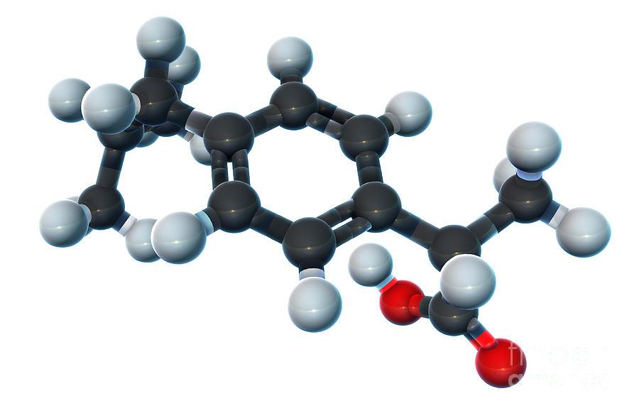 Ibuprofen, Molecular Model Photograph by Evan Oto